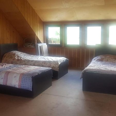 מסטיה Hostel The Misty Mountains מראה חיצוני תמונה