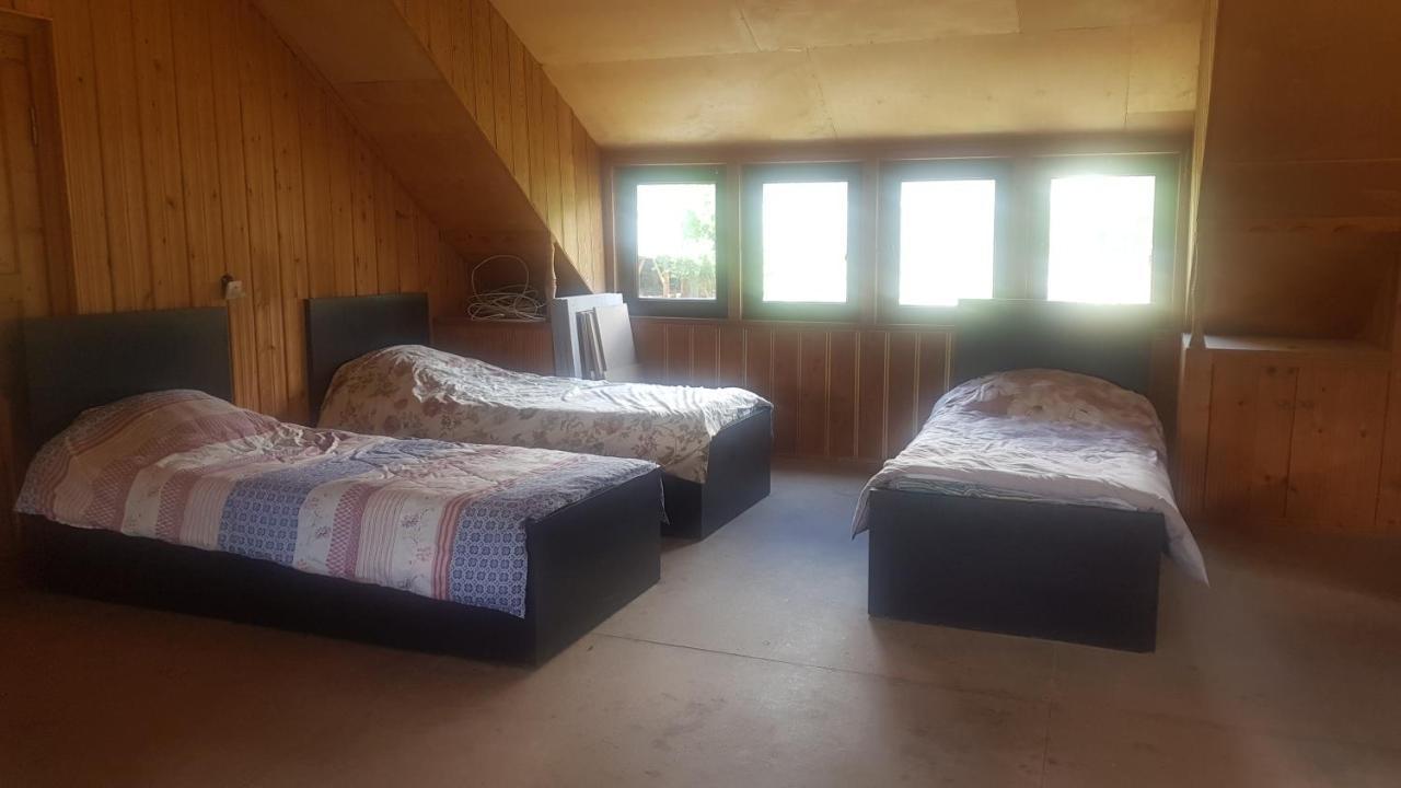 מסטיה Hostel The Misty Mountains מראה חיצוני תמונה
