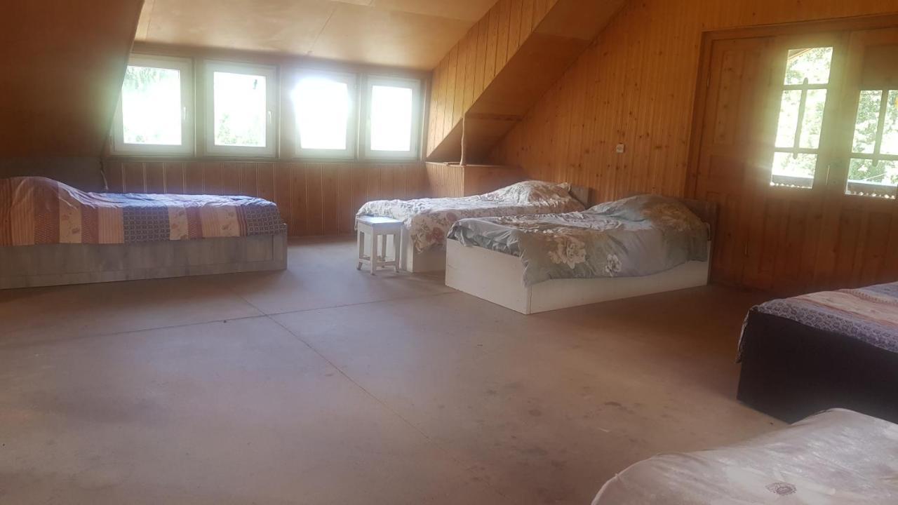 מסטיה Hostel The Misty Mountains מראה חיצוני תמונה