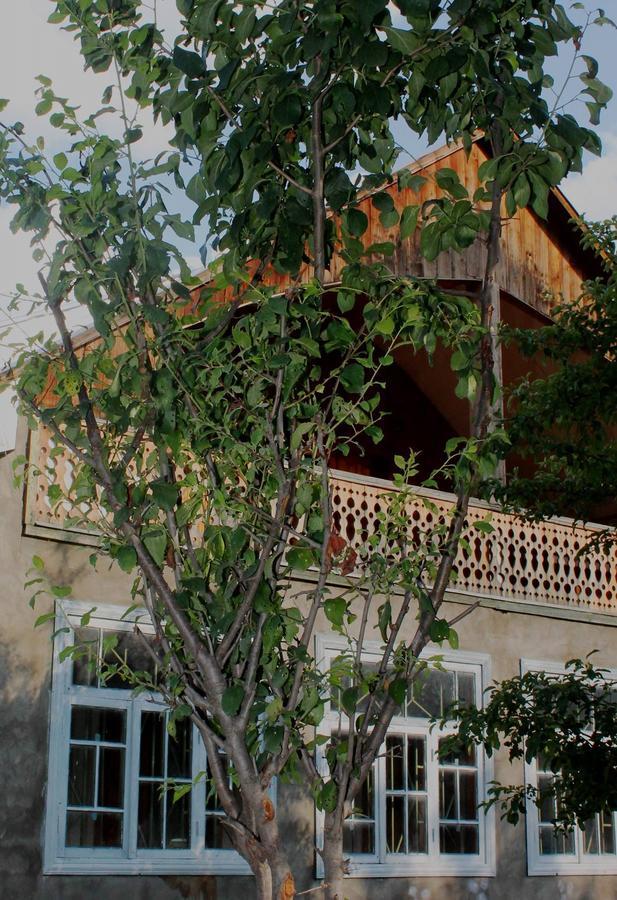 מסטיה Hostel The Misty Mountains מראה חיצוני תמונה