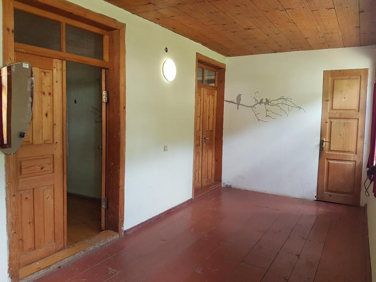 מסטיה Hostel The Misty Mountains מראה חיצוני תמונה