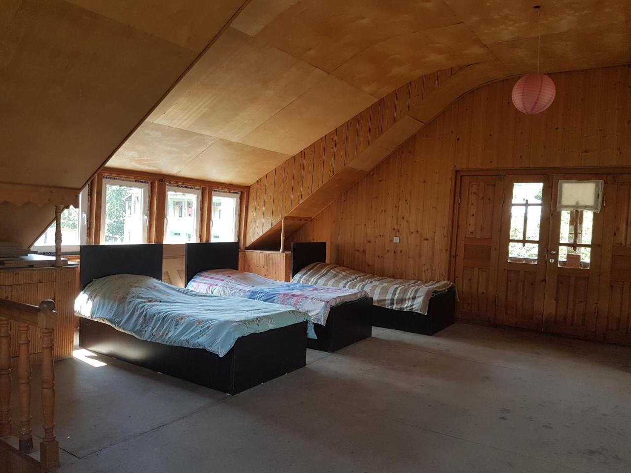 מסטיה Hostel The Misty Mountains מראה חיצוני תמונה
